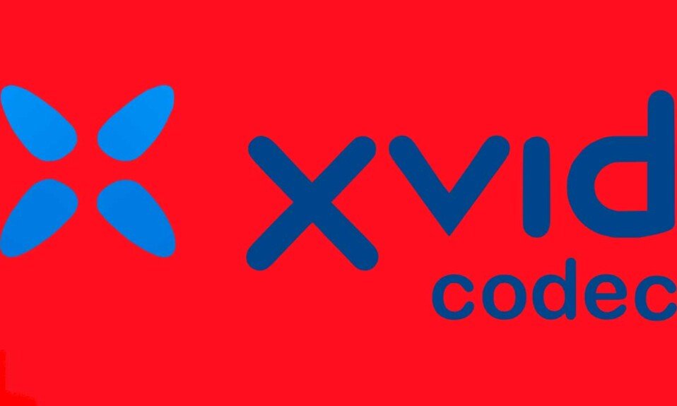 How to Use XVID Codec on Android