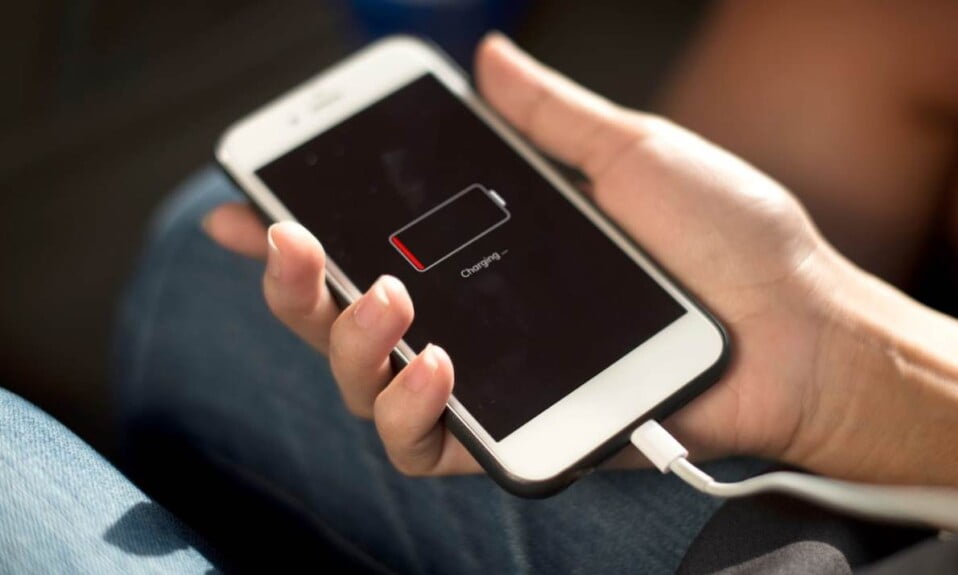 Battery Capacity vs. Charging Speed: Which Is More Important?