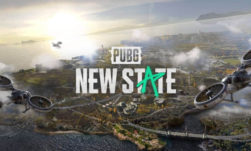 All PUBG New State Promo Codes List (November 2021)