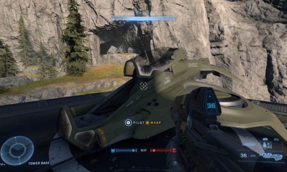 How to Fly a Wasp in Halo Infinite