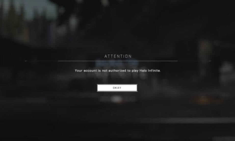 How to Fix Halo Infinite "Your account is not authorized to play"