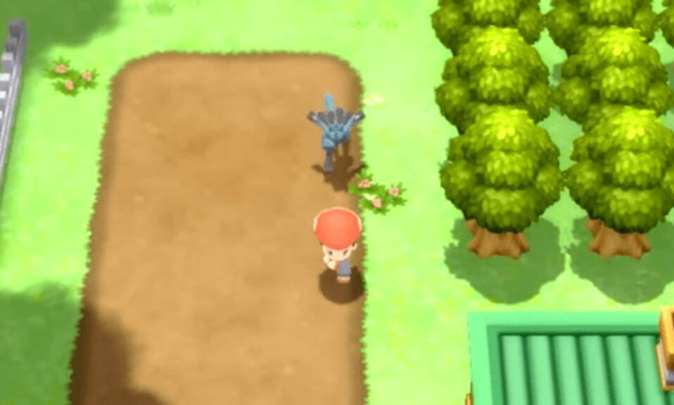 How to Fix the Walking Pokémon Glitch in Brilliant Diamond and Shining Pearl