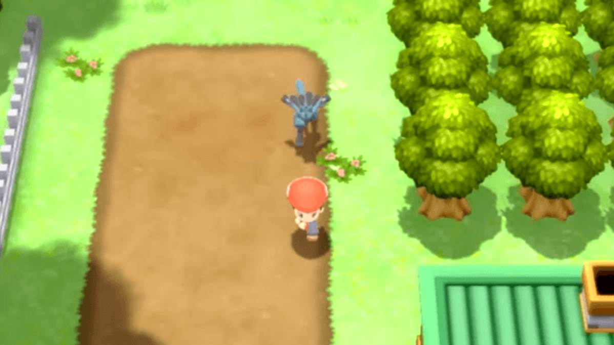 How to Walk with Pokémon in Brilliant Diamond and Shining Pearl
