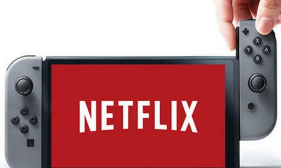 Can You Watch Netflix on Nintendo Switch?