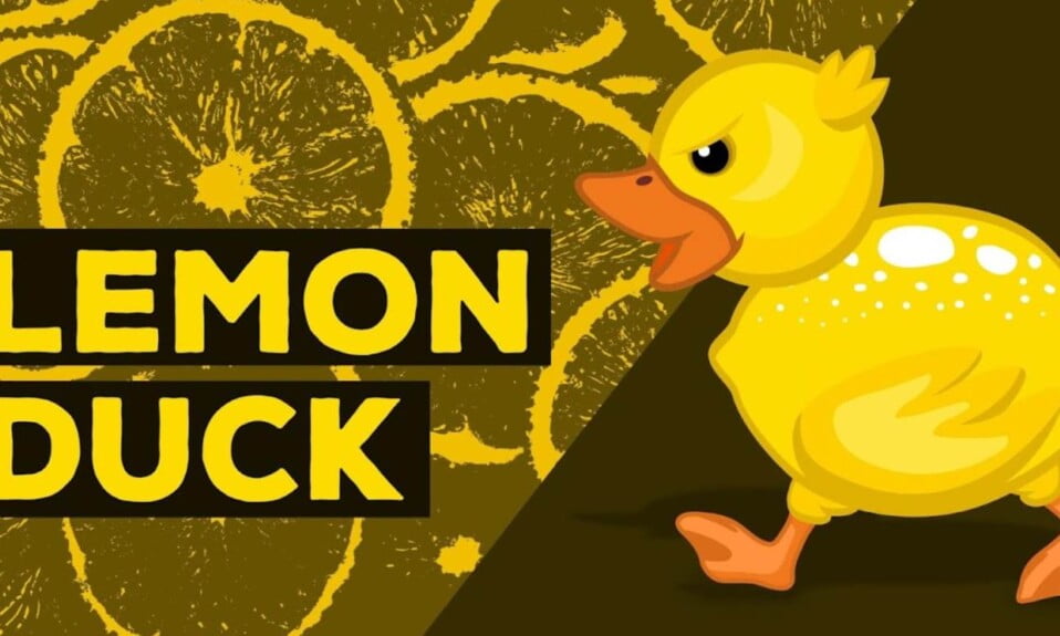 What Is LemonDuck? Cross-Platform Mining Malware That Affects Windows and Linux