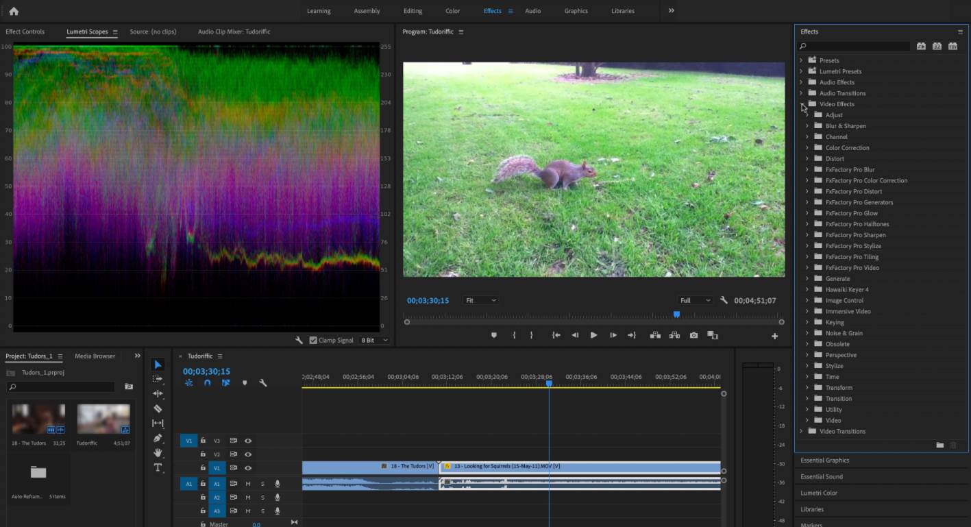 The 5 Best Video Editing Software in 2022