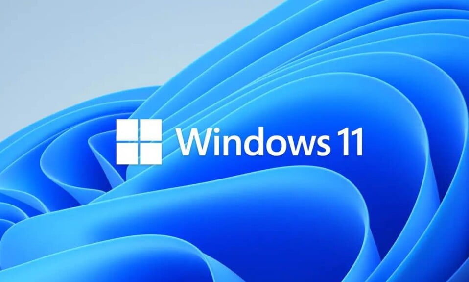 21 Must Have Windows 11 Apps and Software in 2022