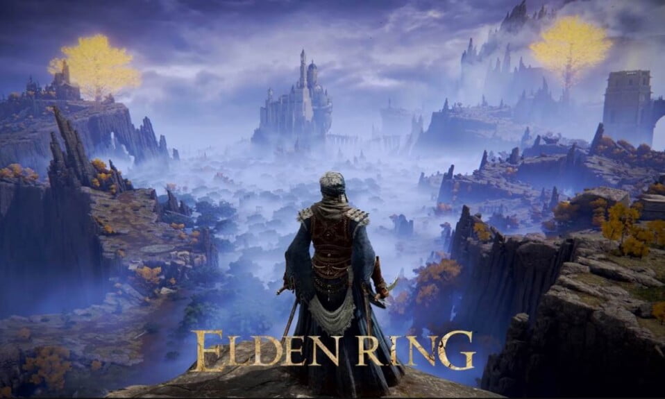 Elden Ring Seluvis Quest: Should You Give Nepheli the Potion?