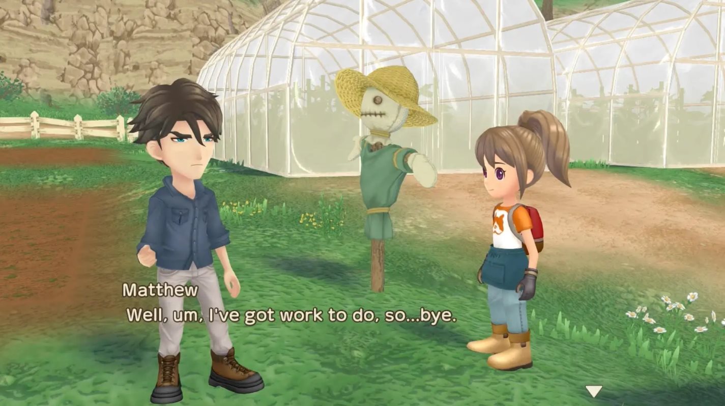 How to Marry Matthew in Story of Seasons: A Wonderful Life